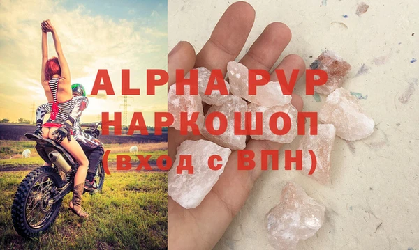 стафф Хадыженск