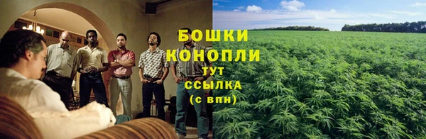 меф Вяземский