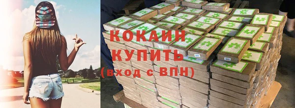 меф Вяземский