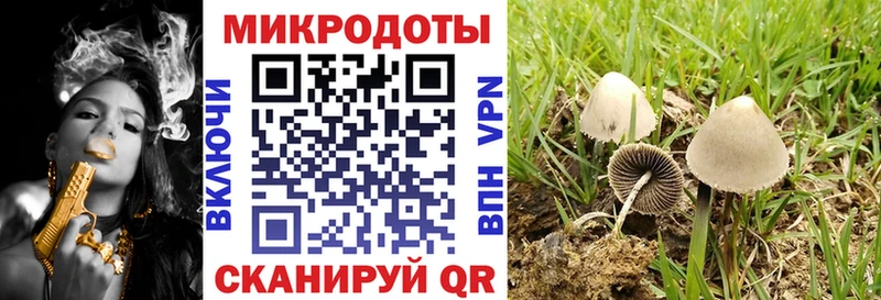 что такое наркотик  Челябинск  Галлюциногенные грибы Psilocybine cubensis 
