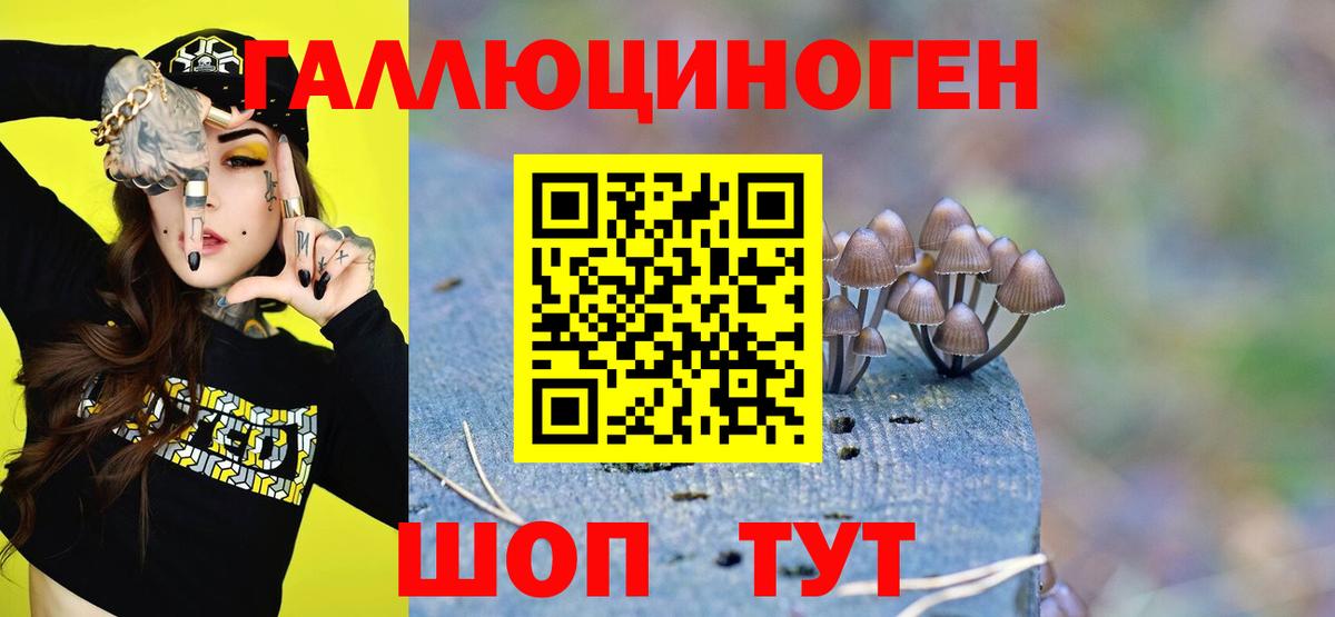 сколько стоит  Вход с VPN  Челябинск  Псилоцибиновые грибы Psilocybe 